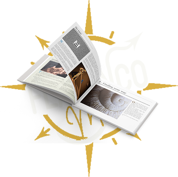 Ready to take the next step on your flamenco journey?